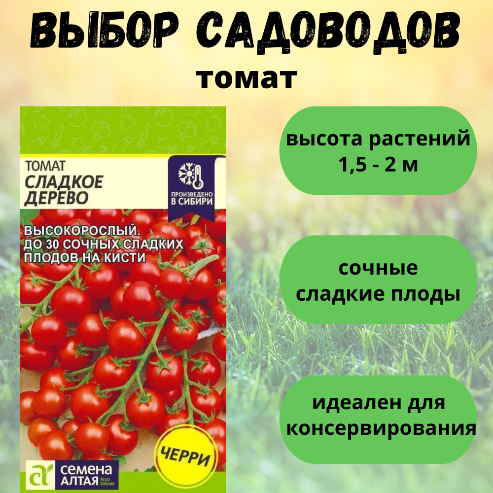 Томаты Семена Алтая Томат_1_красный_1_Томат Сладкое дерево - купить по  выгодным ценам в интернет-магазине OZON (1347906698)