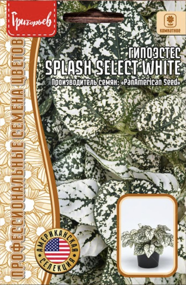 Гипоэстес Splash Select White, 1 пакет, семена 4 шт, ЧК #1