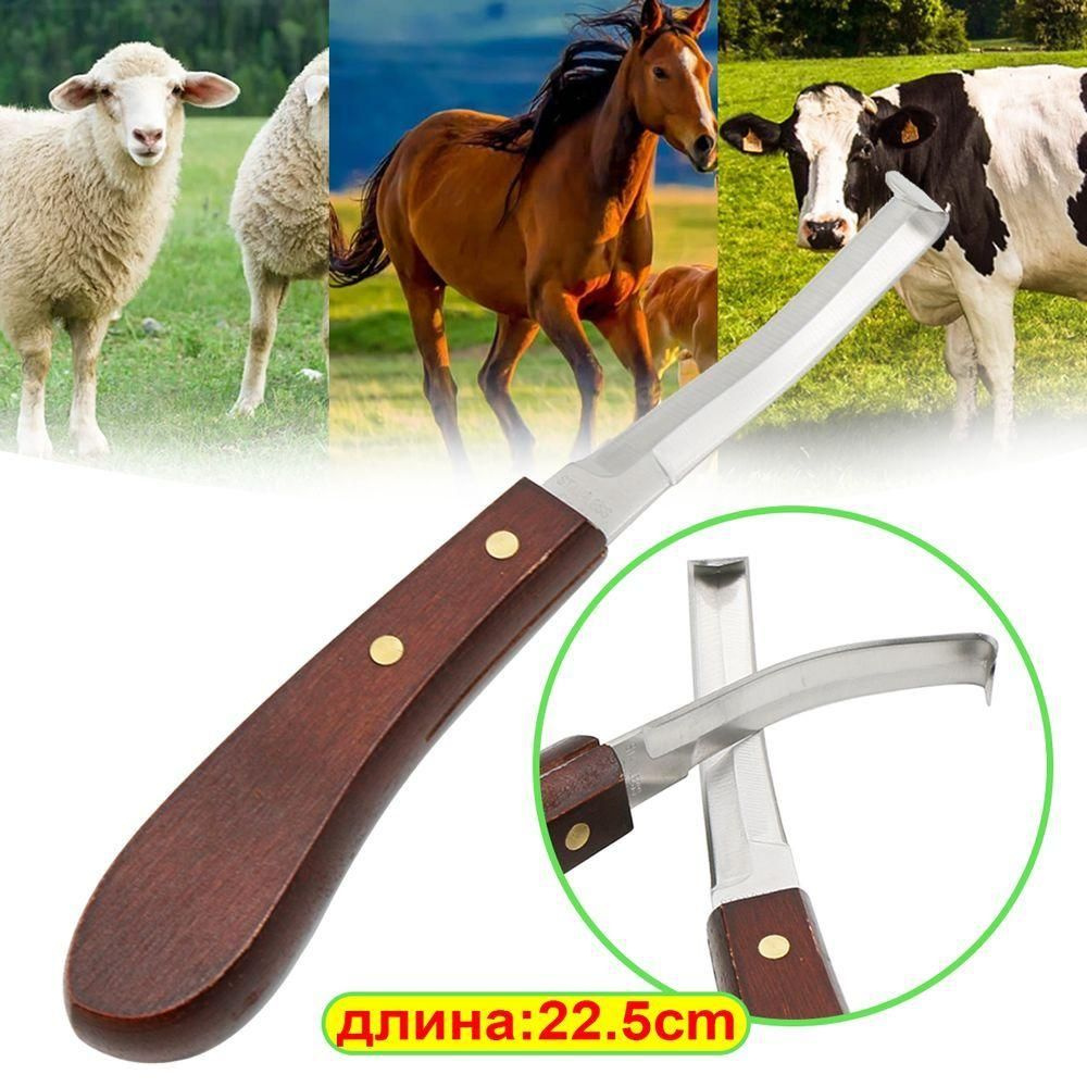 Нож для обрезки и чистки копыт для копытных животных - лошадей, овец ...