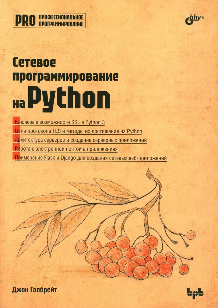 Сетевое программирование на Python | Джон Генри Барнабас #1
