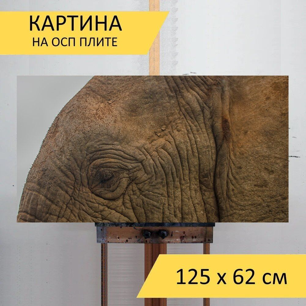 LotsPrints Картина "Слон, дикая природа, животное 01", 125 х 62 см  #1