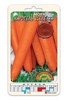 Семена Моркови Голландские – купить на OZON по низкой цене