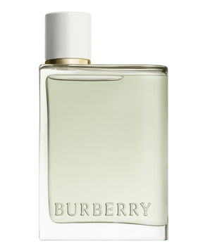 Burberry her 2025 100ml price