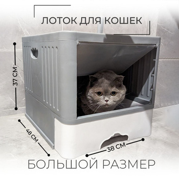 Туалет для Кошек Закрытый Узкий – купить в интернет-магазине OZON по низкой  цене