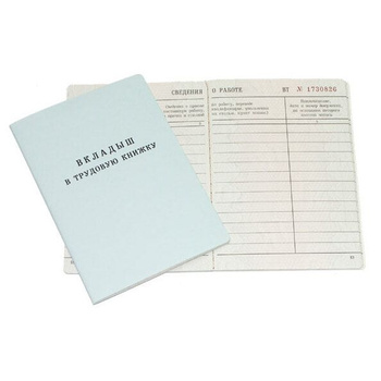 Вкладыш в Трудовую – купить в интернет-магазине OZON по низкой цене