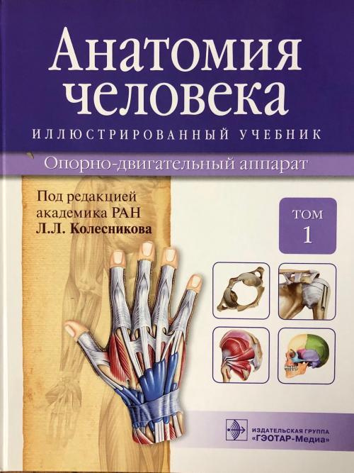 Купить Анатомию Человека В 3 Томах