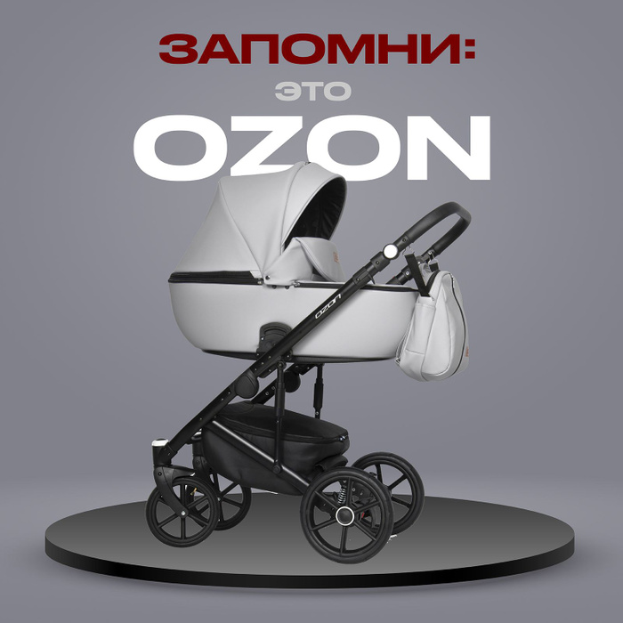 Коляска детская универсальная Riko Basic Ozon 3 в 1 05 светло-серый ...