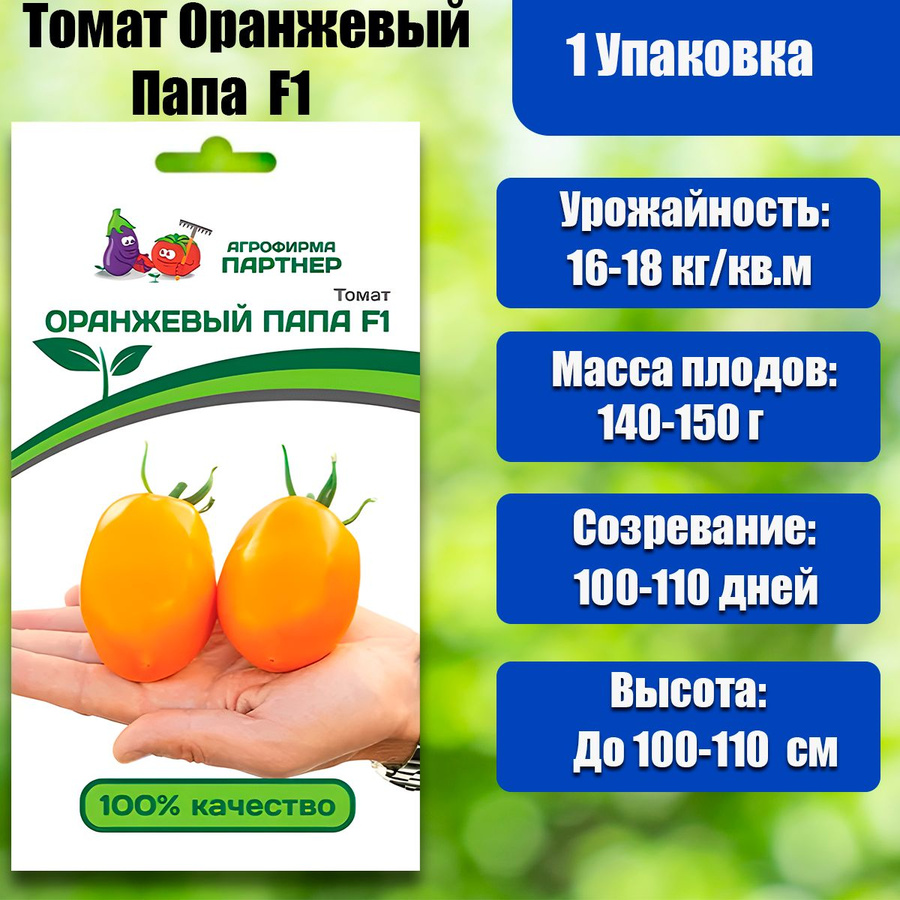 Оранжевый папа. Томат версаль партнер. Томат оранжевый папа f1 партнер. Томат оранжевый папа f1. Оранжевый папа.