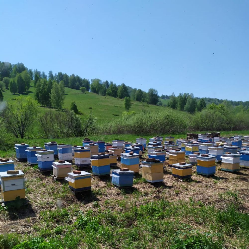 Текст при отключенной в браузере загрузке изображений