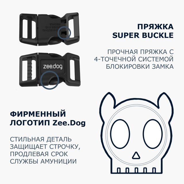 Дизайн