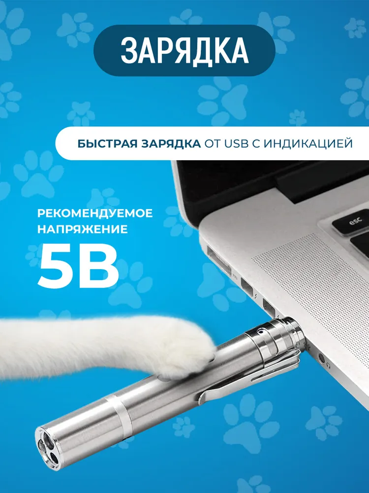 Лазерная указка AG Smart для кошек и собак, Лазер, УФ, Фонарик, с USB зарядкой, вариант, фото 4