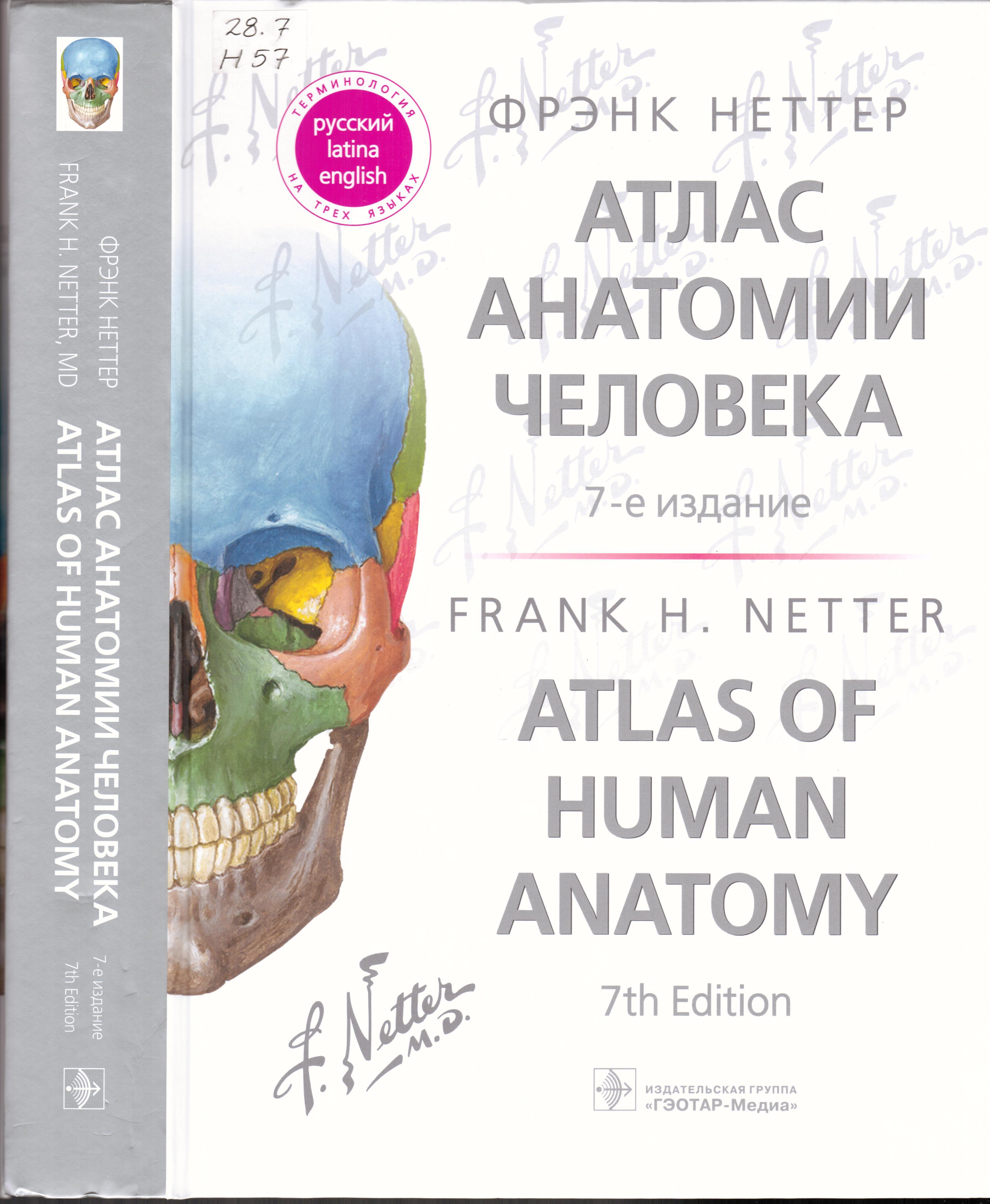 Атлас Фрэнка Неттера 7 издание