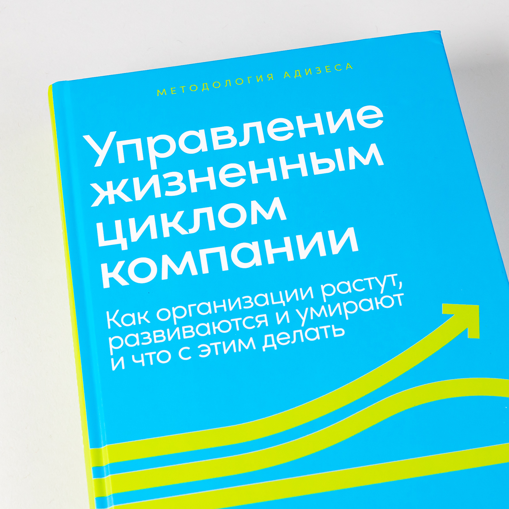 Управление жизненным циклом компании. Как организации растут, развиваются и умирают и что с этим делать | Managing the Life Cycle of an Organization. How Companies Grow, Develop, and Die and What to Do About It - Ozon image 5