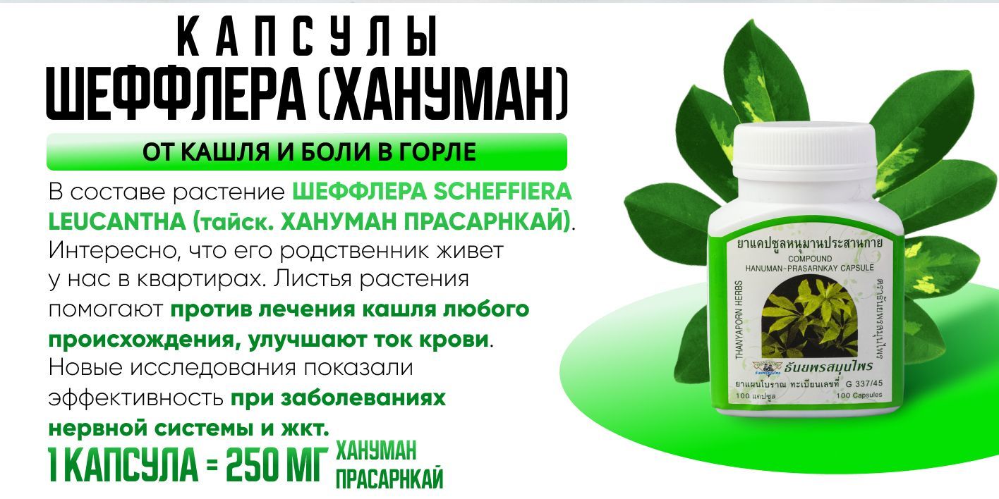 Thanyaporn Herbs Таблетки от кашля с Шеффлерой,100 капсул. - купить с ...