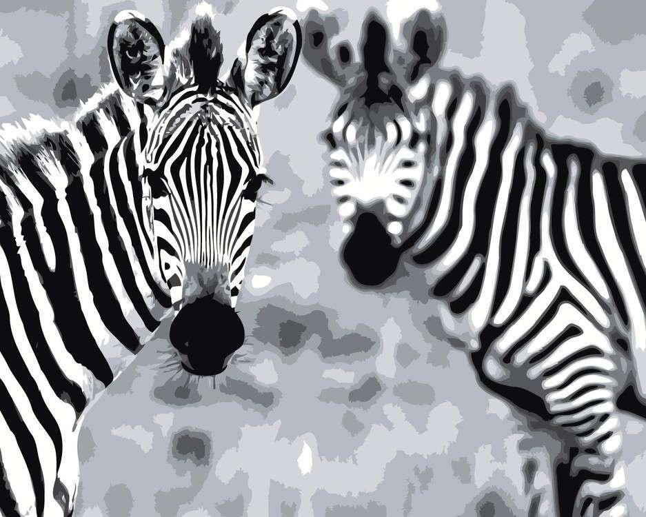 Раскраска Зебра | Изображение зебры, Раскраски, Детские раскраски