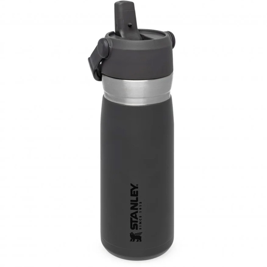 Термобутылка 0.65л STANLEY GO IceFlow Flip Straw - Серая (10-09697-008) #1
