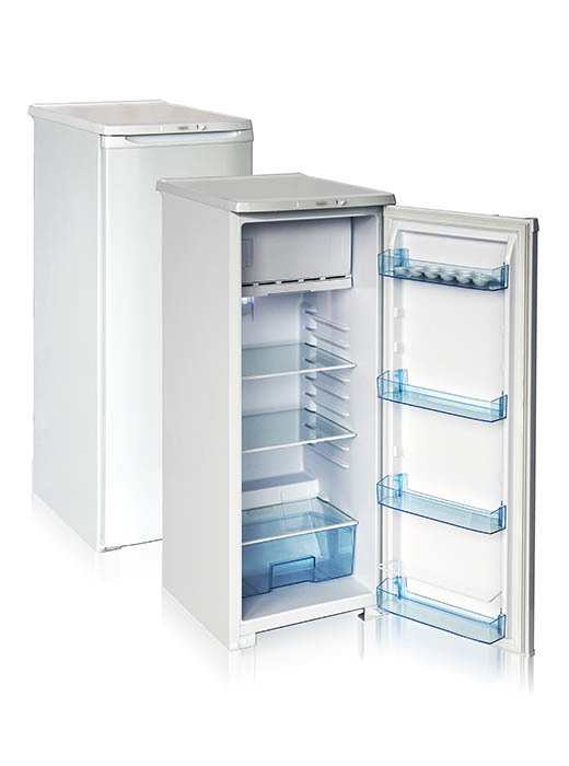 Холодильник Бирюса однокамерный Б-110 белый #1