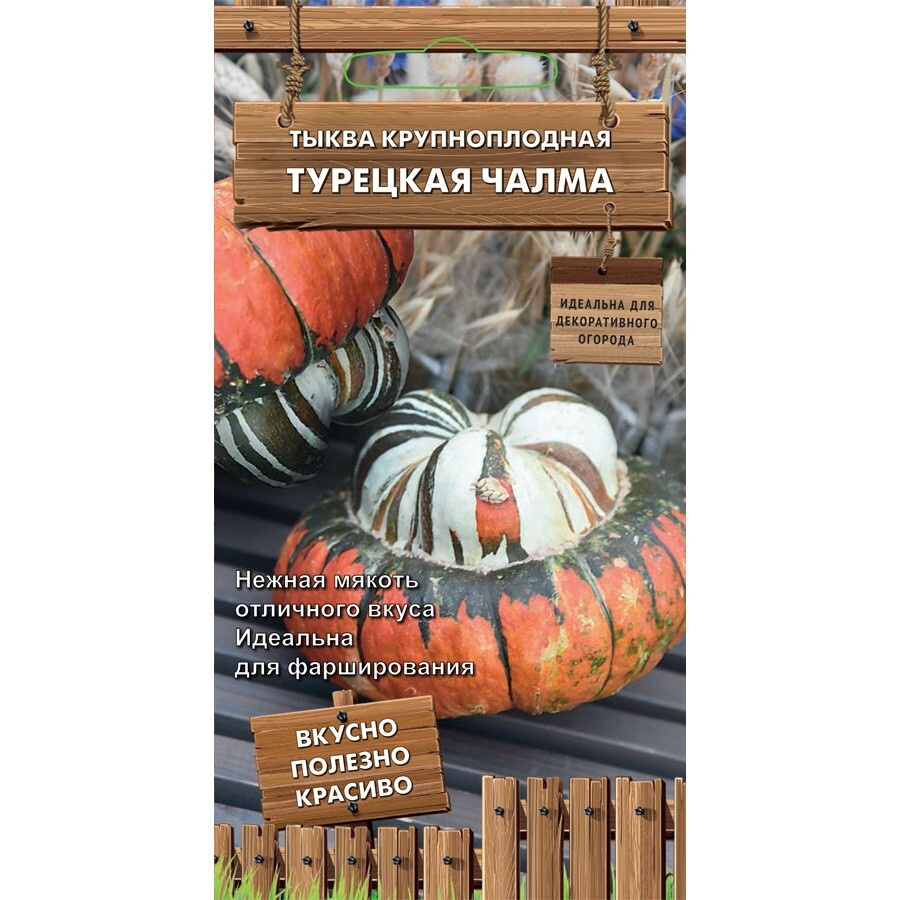 Семена Тыква Турецкая чалма 5 шт (семян) (Поиск) #1