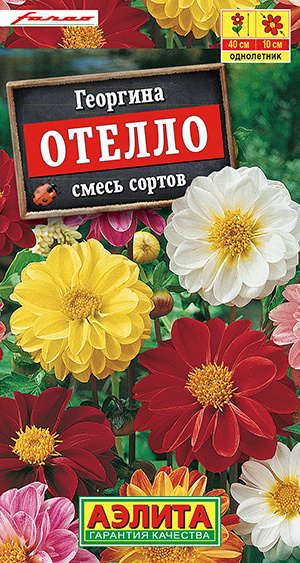 Семена Георгина Отелло, смесь окрасок (7 семян) - Аэлита #1