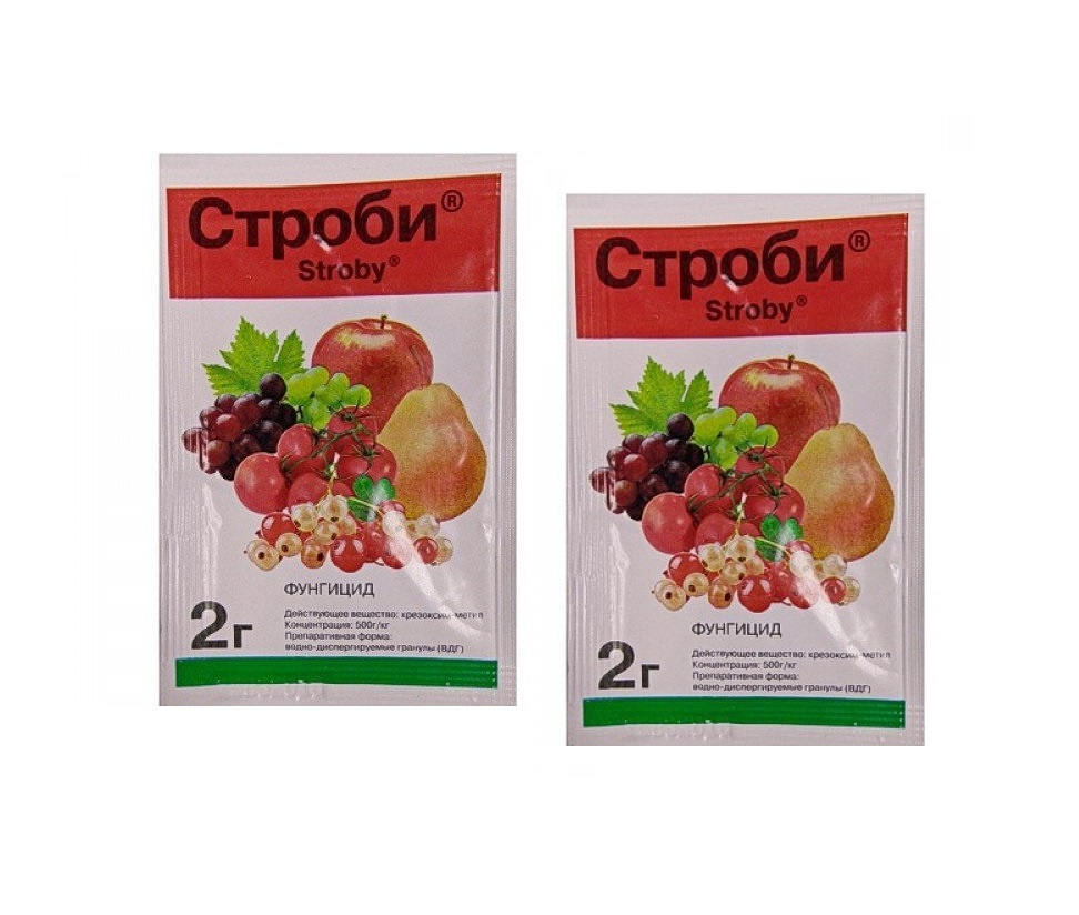 Аналог фунгицида строби. Строби. препарат строби. строби порошок. строби упаковка.