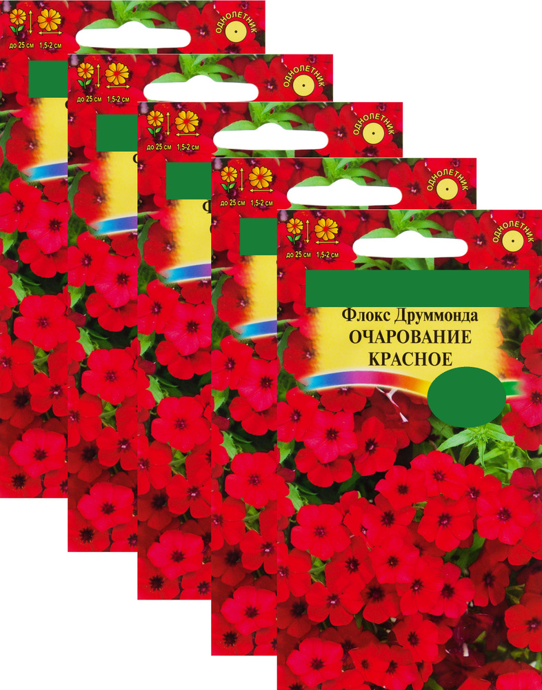 Флокс друммонда очарование красное. Флокс друммонда очарование красное. Вейгела саммер ред. Очарование красное. Очарование красное.