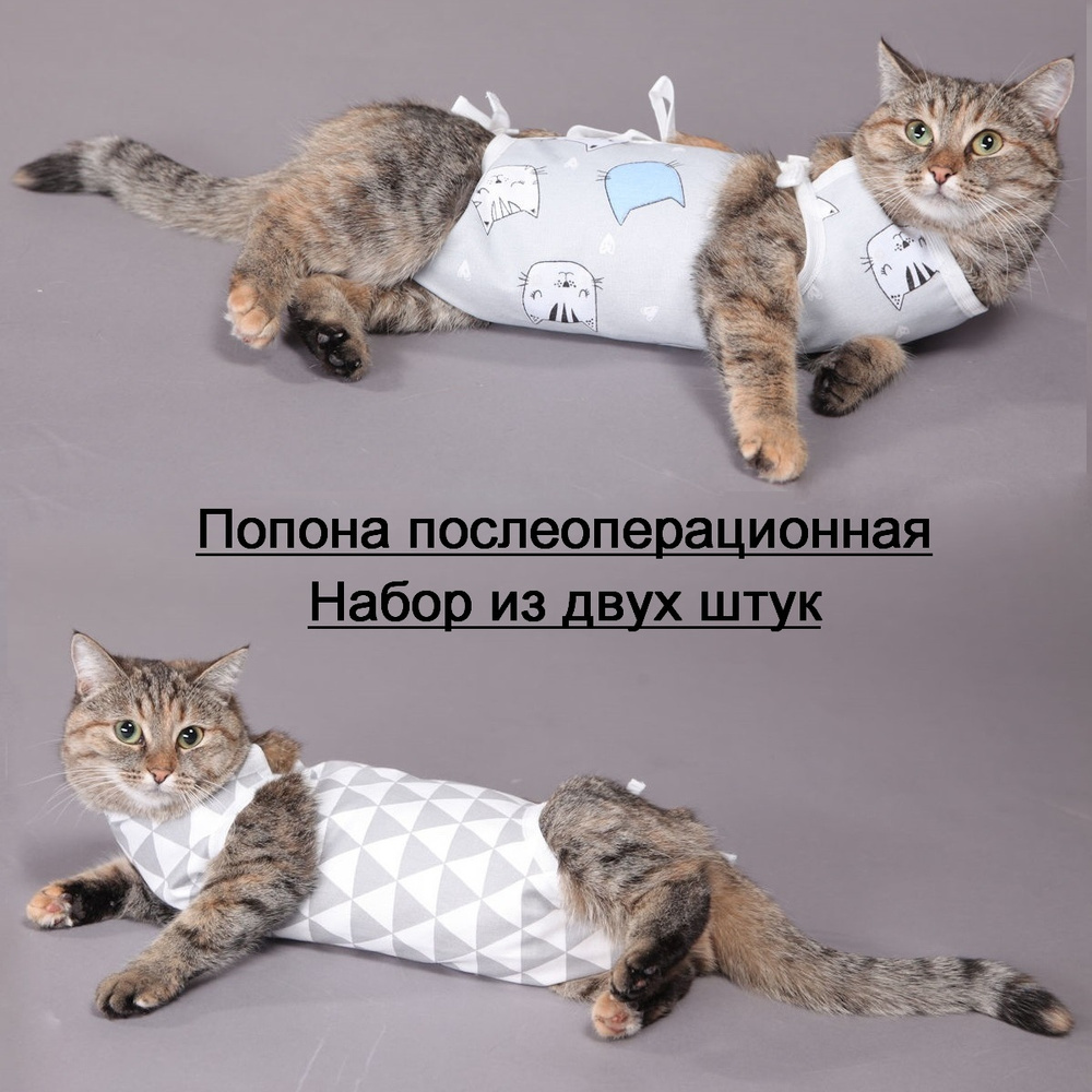 Попона для кошек и собак послеоперационная JOY набор из 2 шт, бандаж после  операции и стерилизации для кошки и собаки размер М - купить с доставкой по  выгодным ценам в интернет-магазине OZON (229188351)