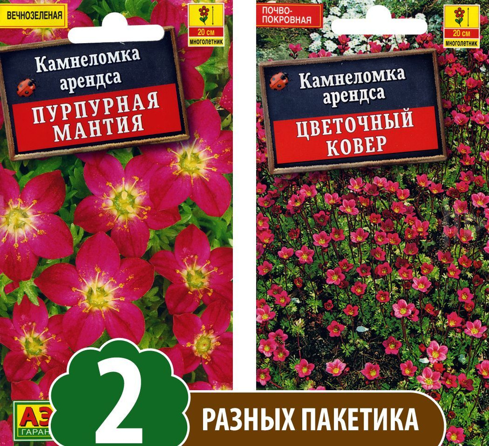 Семена Камнеломка арендса Пурпурная Мантия + Цветочный Ковер, 2 разных пакетика  #1