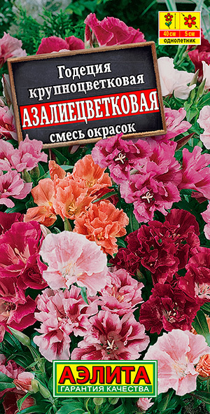 Семена Годеция Азалиецветковая Махровая, смесь (0,05г) - Аэлита #1