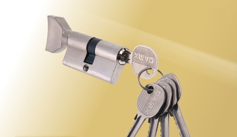 Цилиндровый механизм(личинка для замка)DAMX Простой ключ-вертушка NW60 мм SN (Матовый никель)  #1