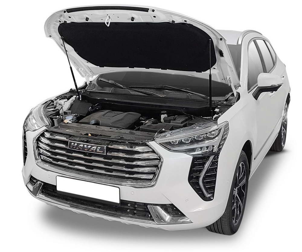 Газовые упоры капота АвтоУпор для Haval Jolion 2021-н.в., 2 шт., UHAJOL011