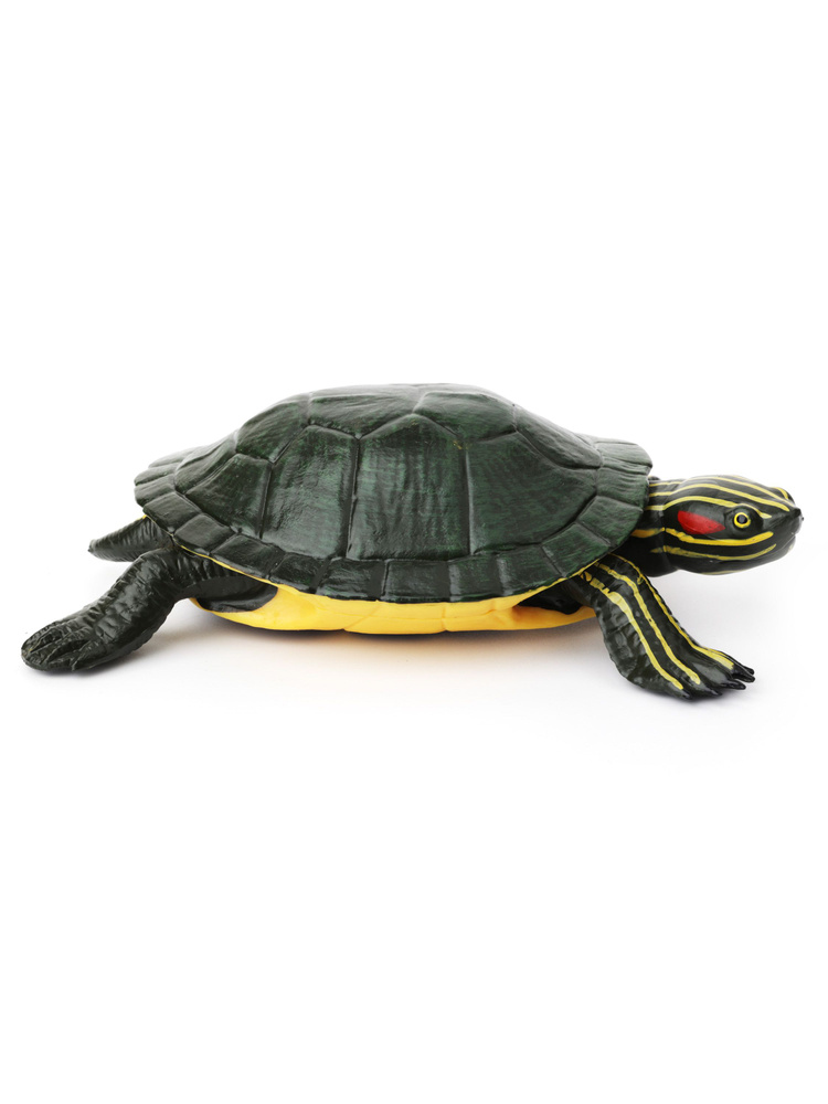 черепаха для детей игрушка