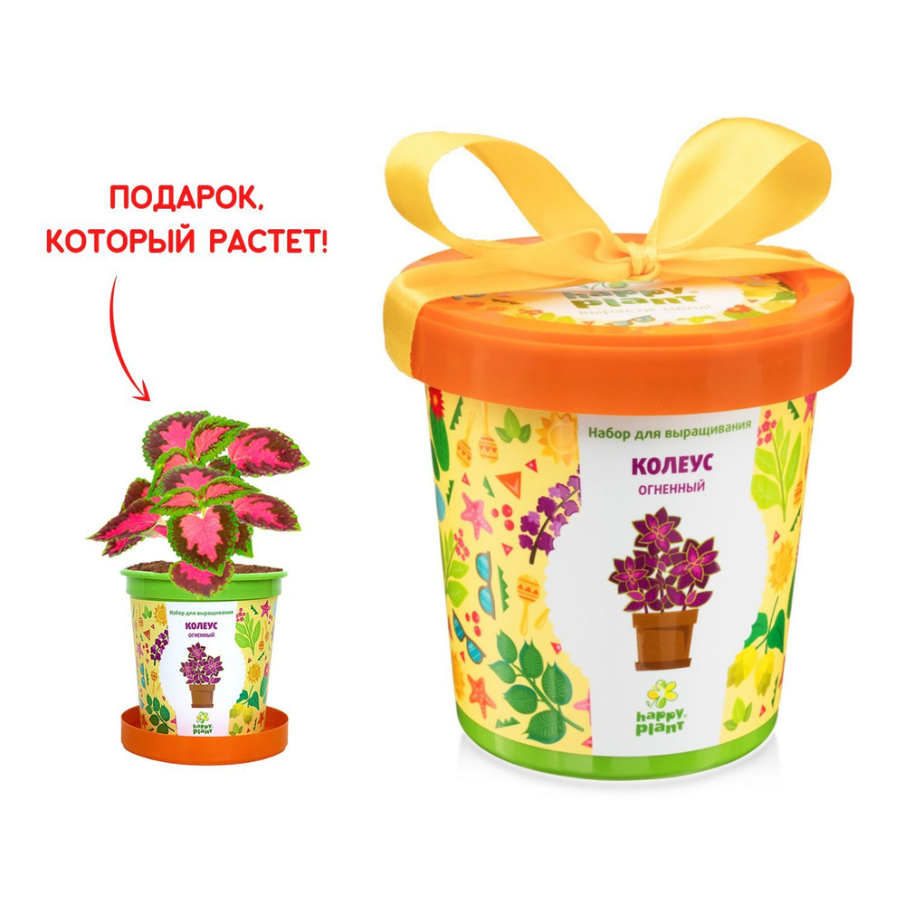 Набор для выращивания Happy Plant, Колеусы, Однолетник купить по выгодной  цене в интернет-магазине OZON (149741307)