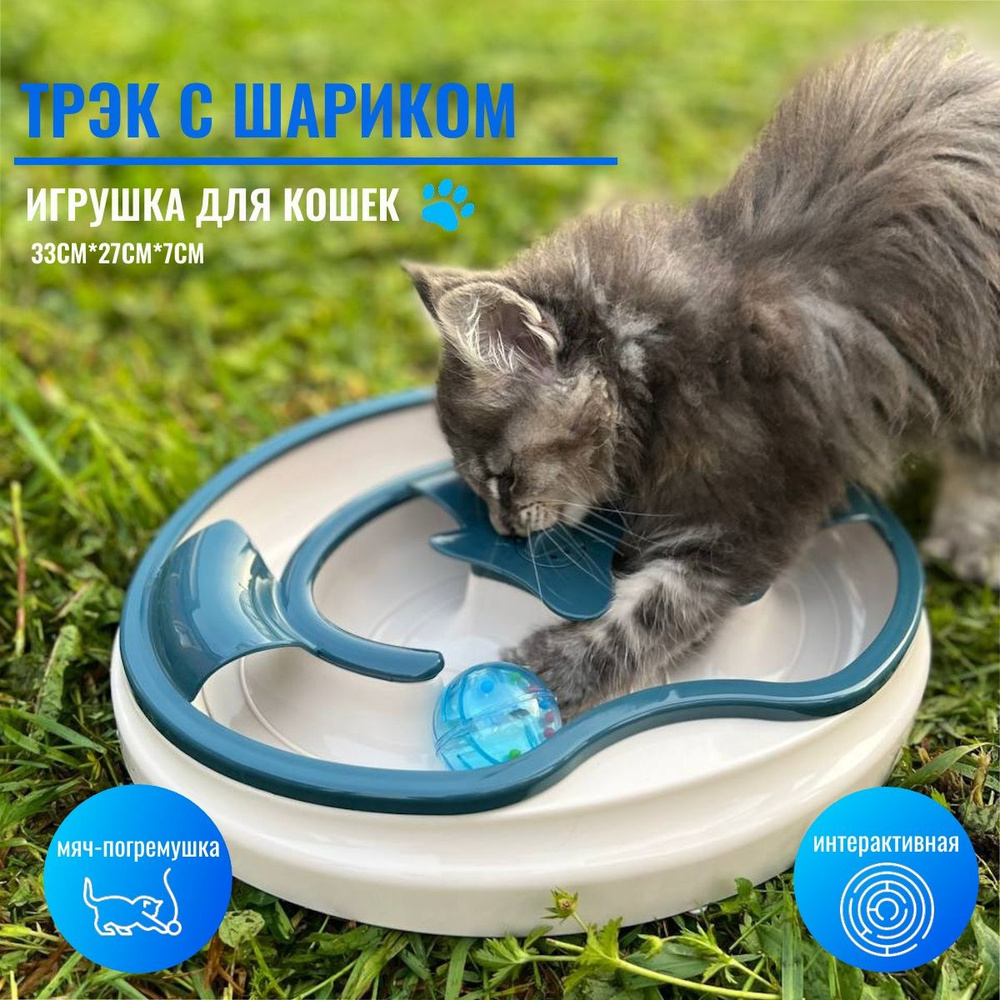 Игрушка для кошек Шурум-Бурум интерактивный трек с шариком, пирамида для  кошки - купить с доставкой по выгодным ценам в интернет-магазине OZON  (446667109)