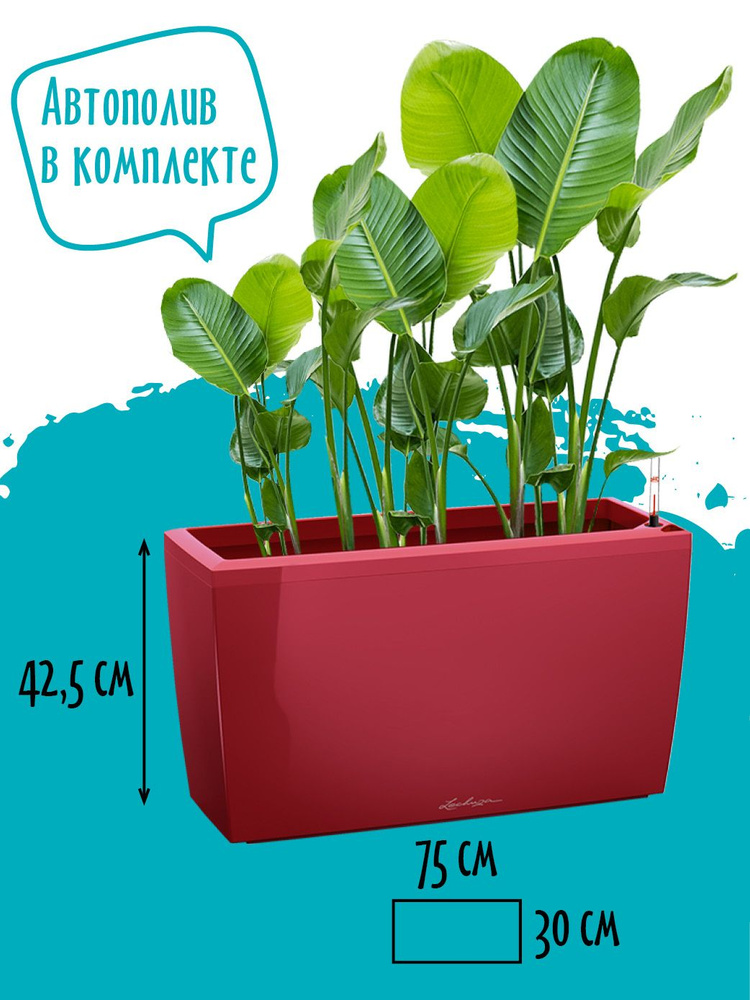 Горшок для цветов большой пластиковый Lechuza CARARO Premium 75 кашпо с ...