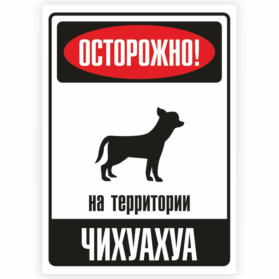 Табличка, металлическая, DANGER DOG, Осторожно! На территории Чихуахуа, 18x25 см  #1