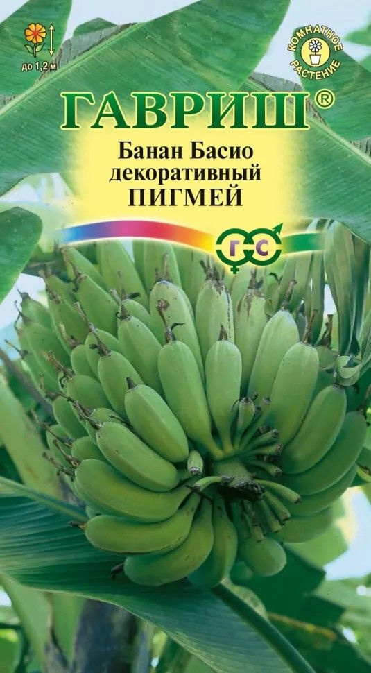 Банан Гавриш udach23-01 - купить по выгодным ценам в интернет-магазине OZON(1146110420)