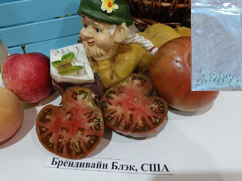 Семена #1