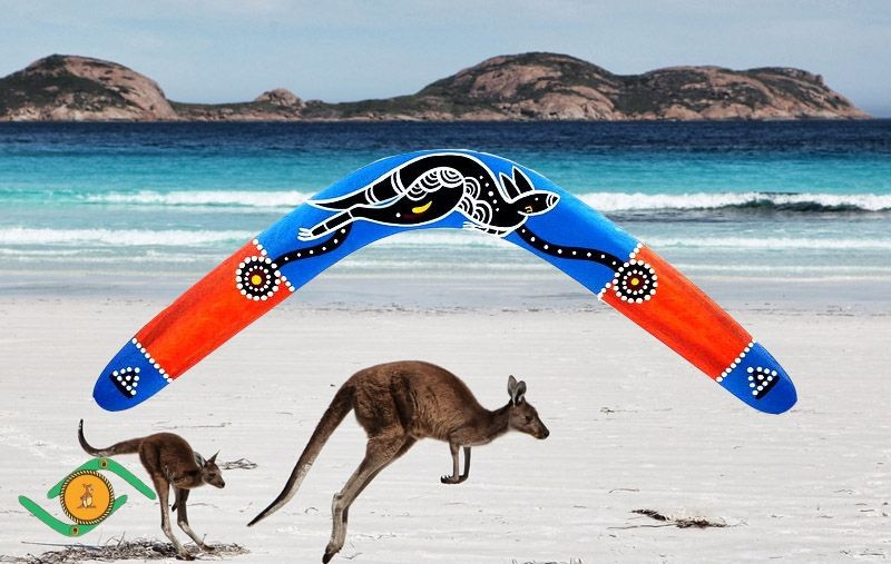 Boomerangi Бумеранг - купить с доставкой по выгодным ценам в интернет ...