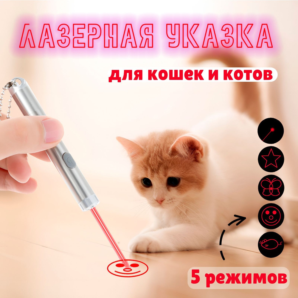 Лазерная указка для кошек и собак игрушка лазер, дразнилка, фонарик с USB  зарядкой - купить с доставкой по выгодным ценам в интернет-магазине OZON  (902569023)