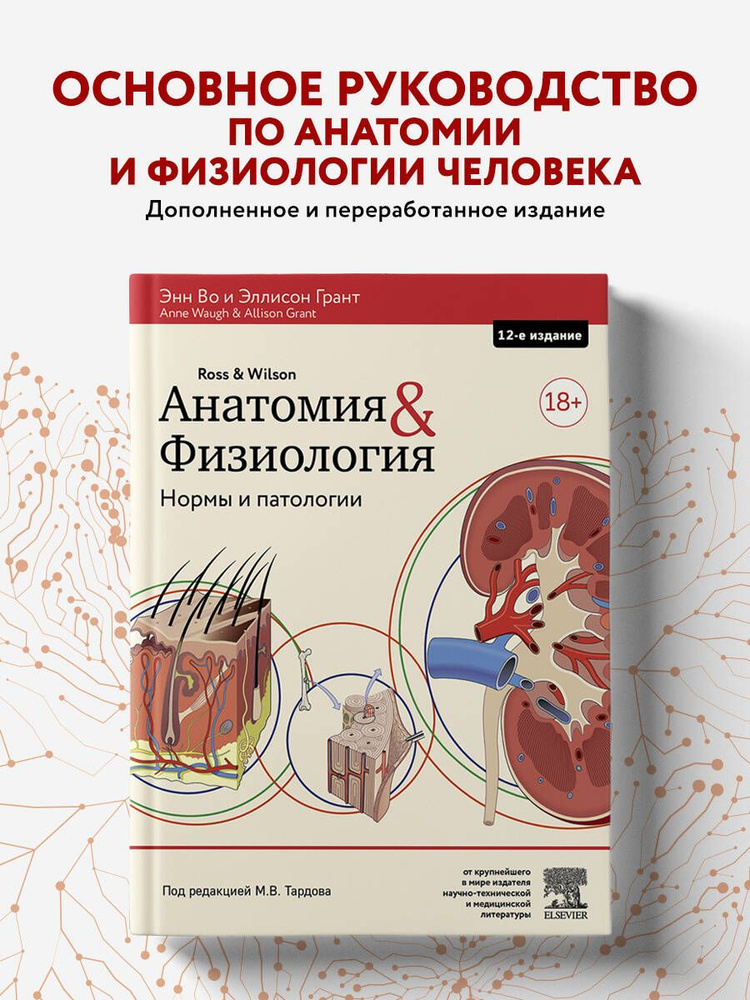 Анатомия и физиология. Нормы и патологии #1