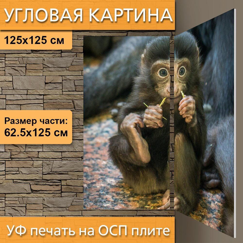 Угловая модульная картина 