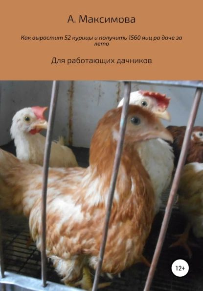 Как вырастить 52 курицы и получить 1560 яиц на даче за лето. Для работающих дачников | Максимова Александра #1