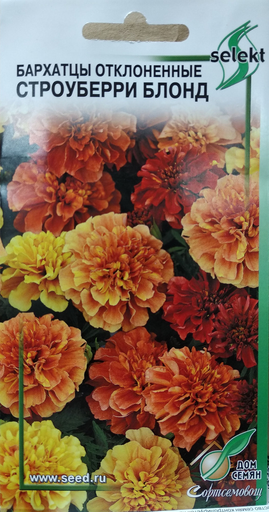 Бархатцы, Декоративные разные Дом Семян Бархатцы (Тагетес отклоненный ...
