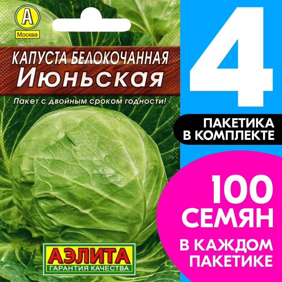 Семена Капуста белокочанная ультраскороспелая Июньская, 4 пакетика по 0,5г/100шт  #1