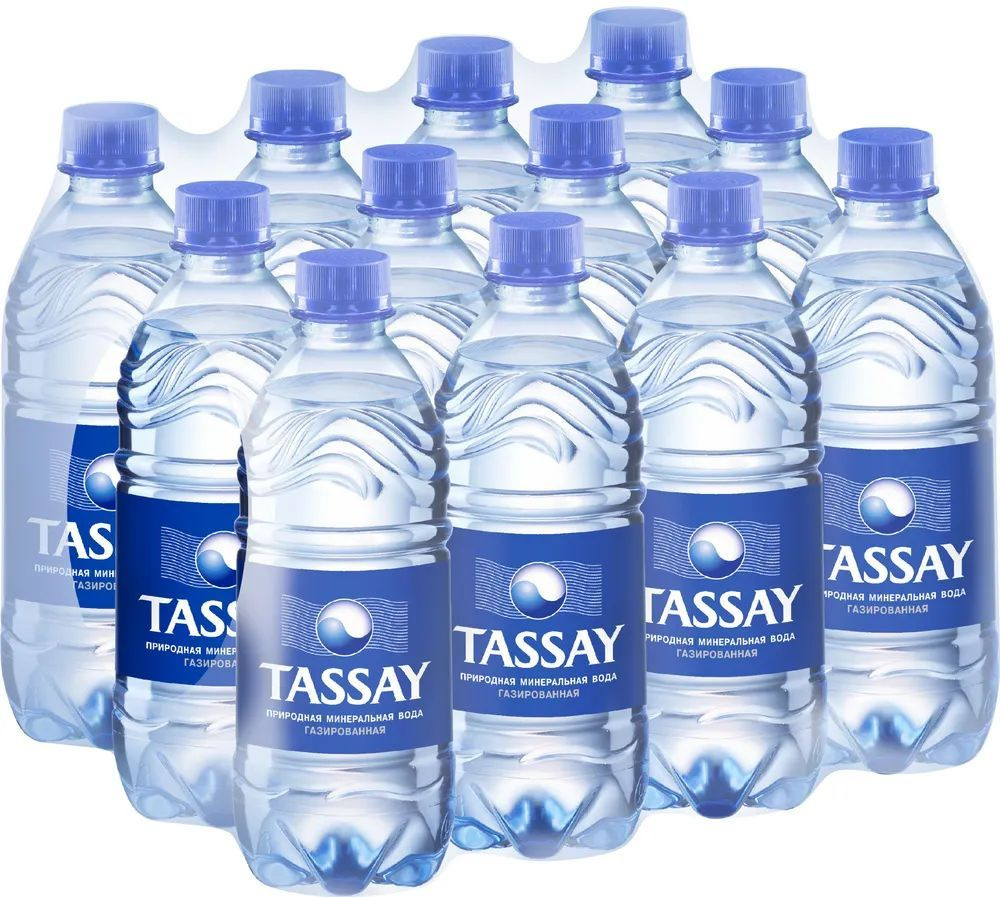 Вода питьевая TASSAY (Тассай), газированная, 0.5 л х 12 шт, ПЭТ #1
