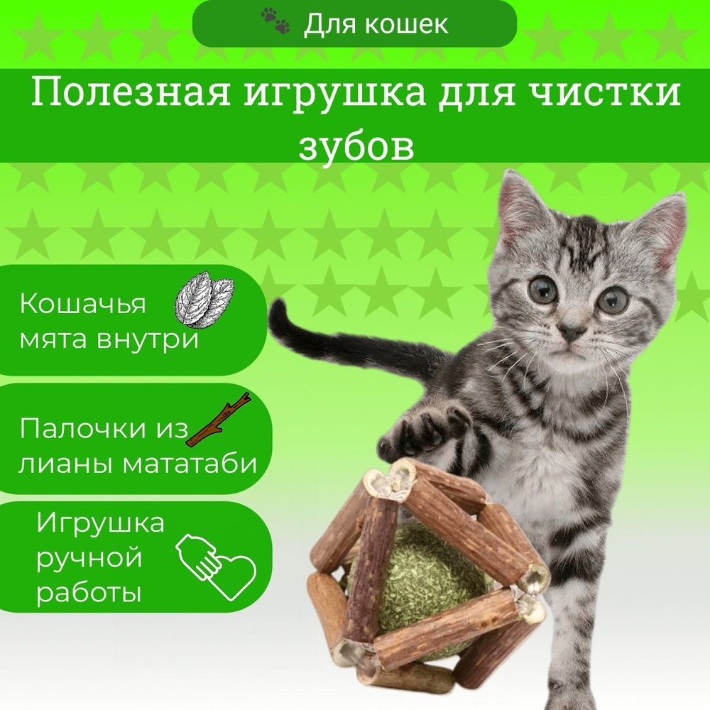 Игрушки для кошек. Мятный шарик для кошек, шарик с кошачьей мятой и  палочками мататаби для чистки зубов