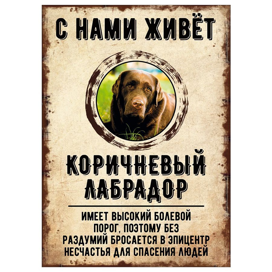 Табличка, декоративная, DANGER DOG, С нами живет Коричневый лабрадор, 18см х 25см  #1