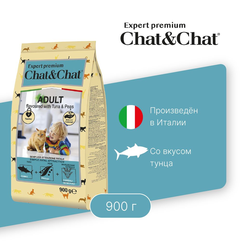 H chat. H chat