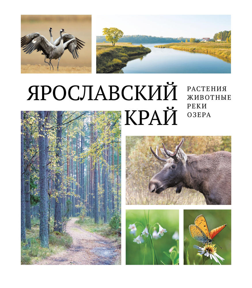 Ярославский край: растения и животные, реки и озёра - купить с доставкой по  выгодным ценам в интернет-магазине OZON (753325930)