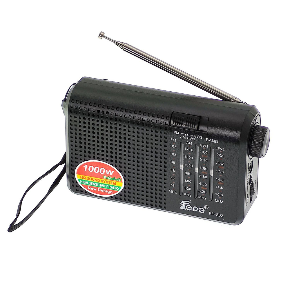 Радиоприёмник аккумуляторный Fepe FP-803 #1